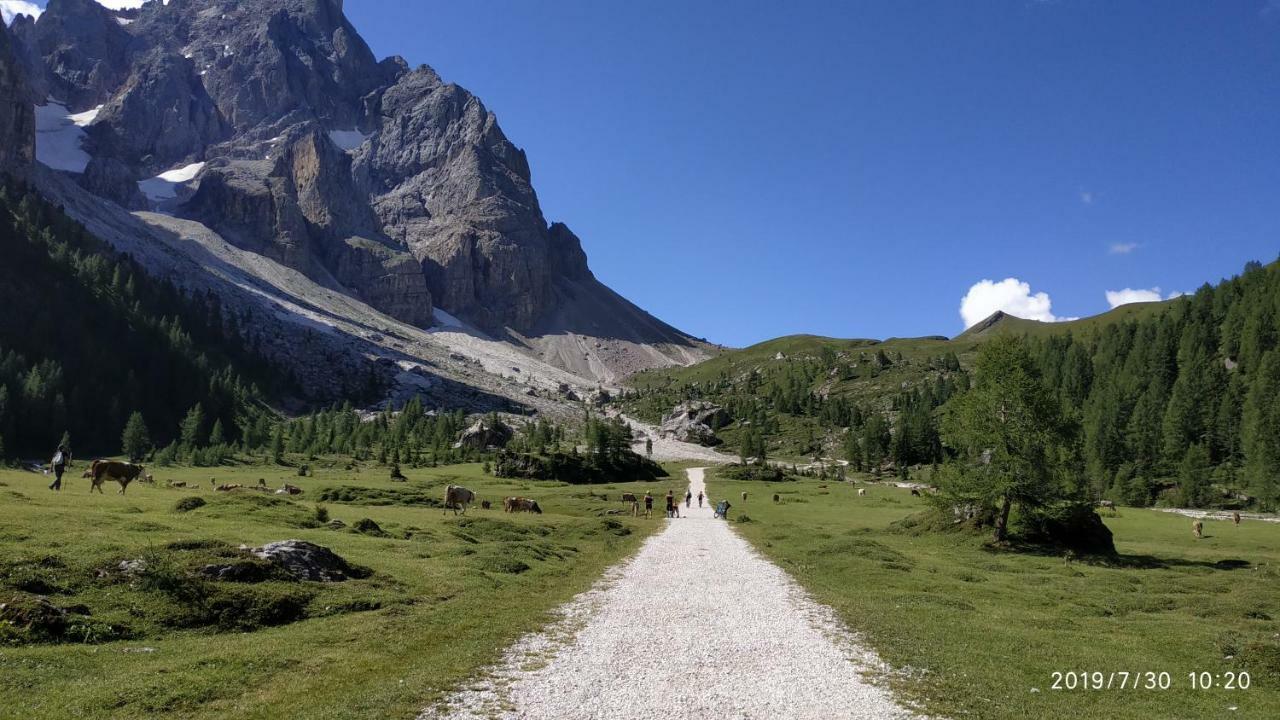 Il Covo Dello Sciatore Falcade Exterior foto